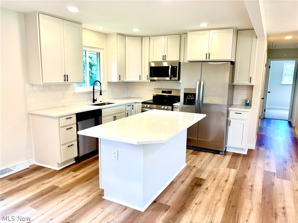 21113 Willow Lane Strongsville OH 44149