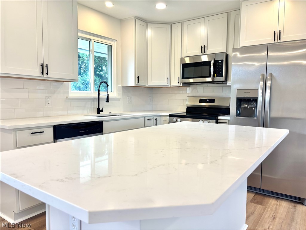 21113 Willow Lane Strongsville OH 44149