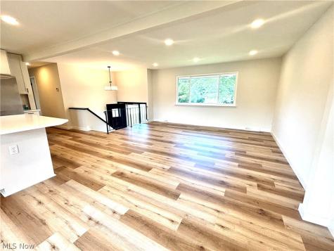 21113 Willow Lane Strongsville OH 44149