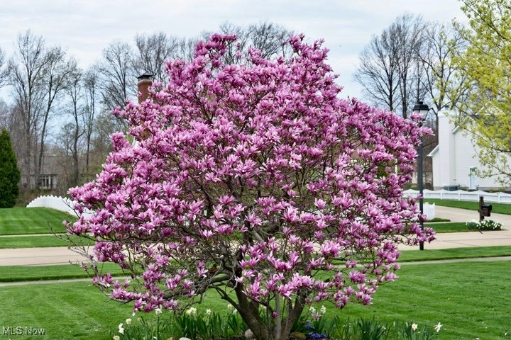 5379 Wixford Lane Mentor OH 44060