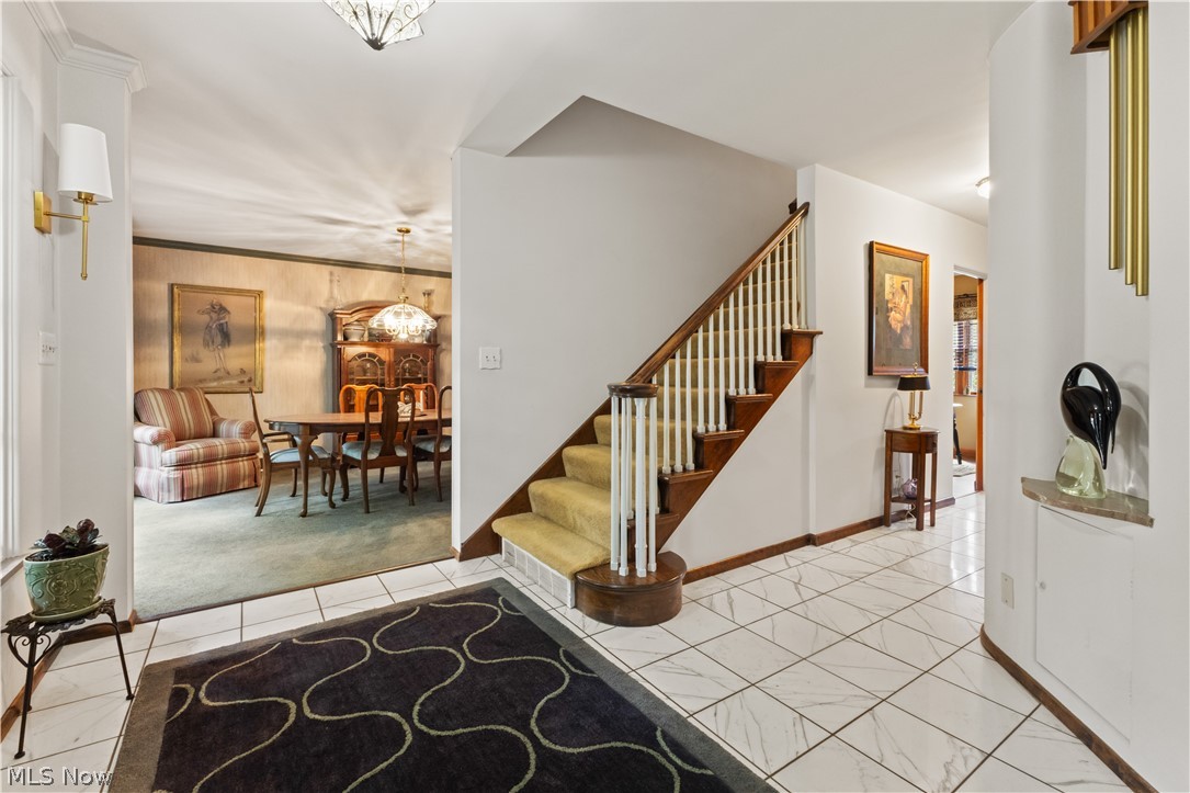 1107 Jacksonplace Place Steubenville OH 43952
