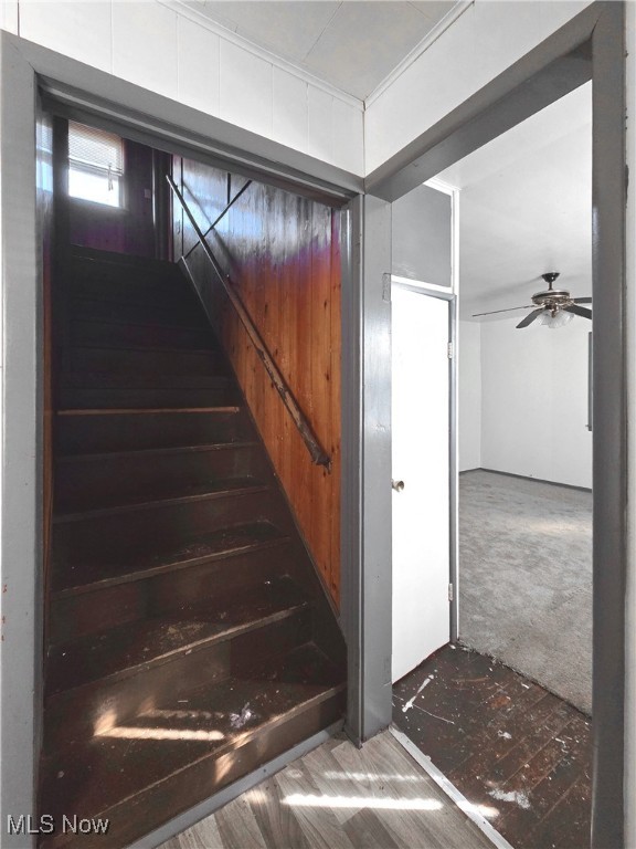 5412 Orey Avenue Cleveland OH 44105