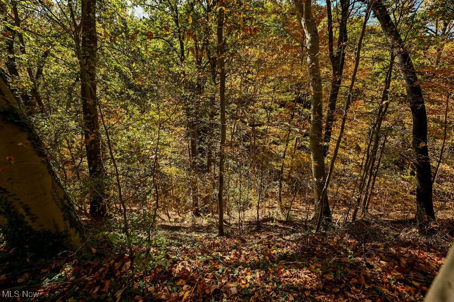 745 Canyon Trail Akron OH 44303