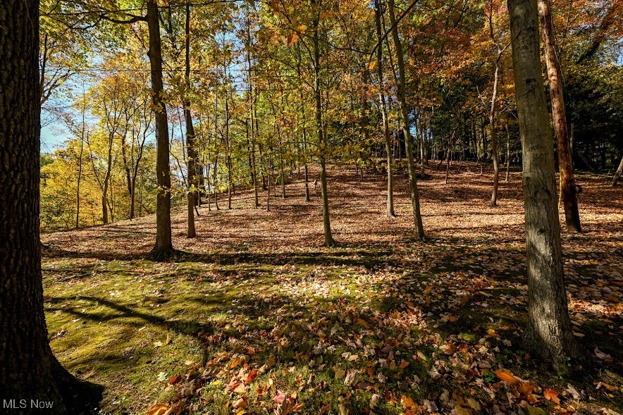 745 Canyon Trail Akron OH 44303