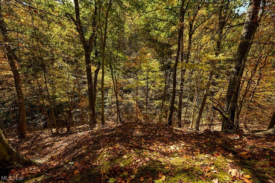 745 Canyon Trail Akron OH 44303