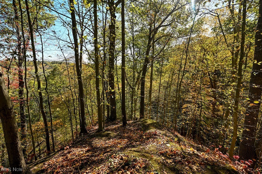 745 Canyon Trail Akron OH 44303