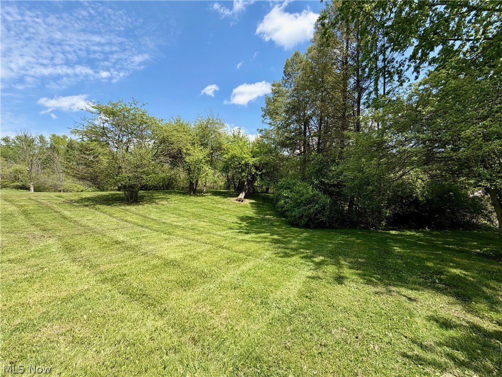 13665 Clover Lake Drive Chardon OH 44024