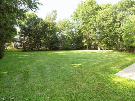 40 Steepleview Drive Hudson OH 44236