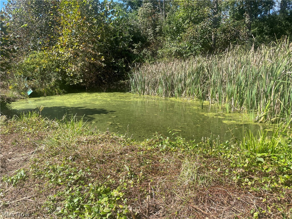 2836 State Route 83 Millersburg OH 44654