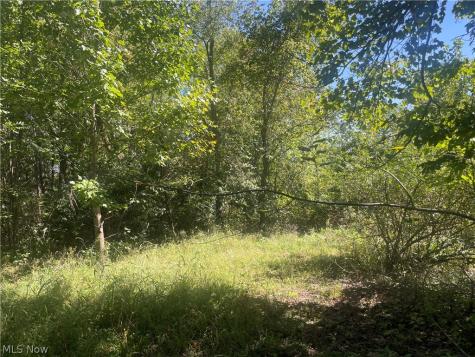 2836 State Route 83 Millersburg OH 44654