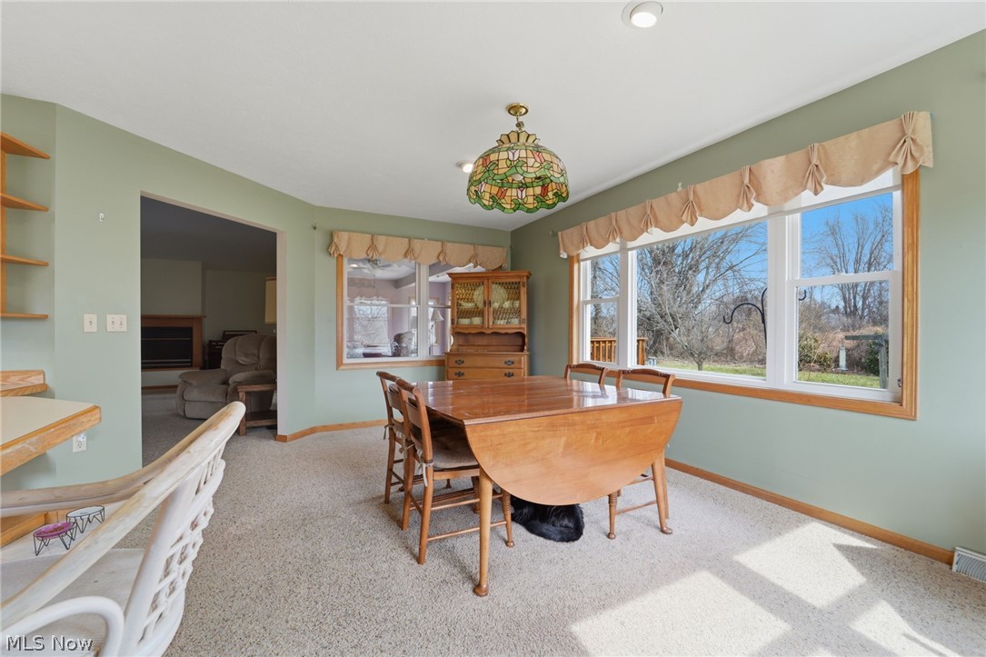 28 Lake Park Road Conneaut OH 44030
