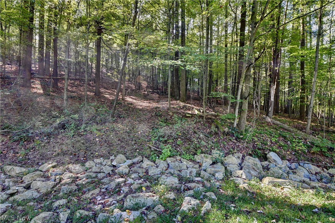 8097 Ore Hill Road SW Stone Creek OH 43840