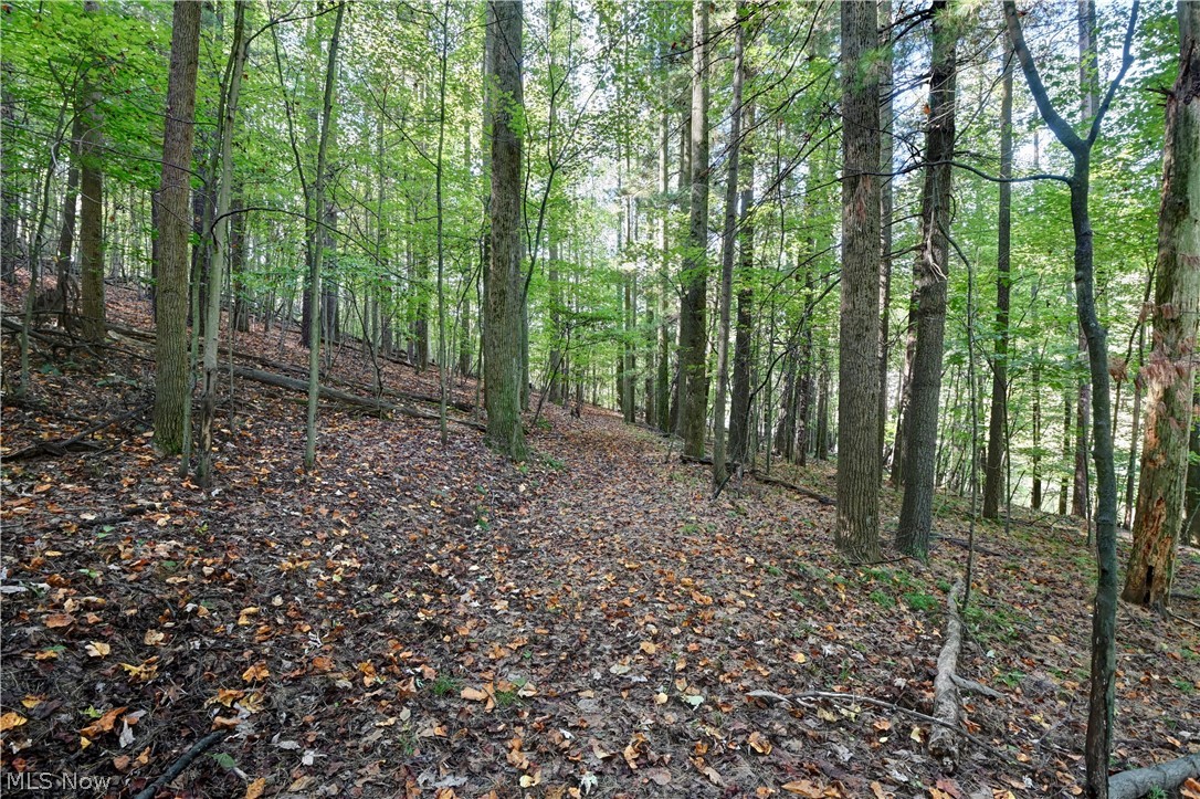 8097 Ore Hill Road SW Stone Creek OH 43840