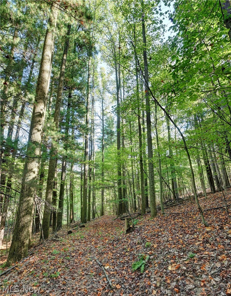 8097 Ore Hill Road SW Stone Creek OH 43840