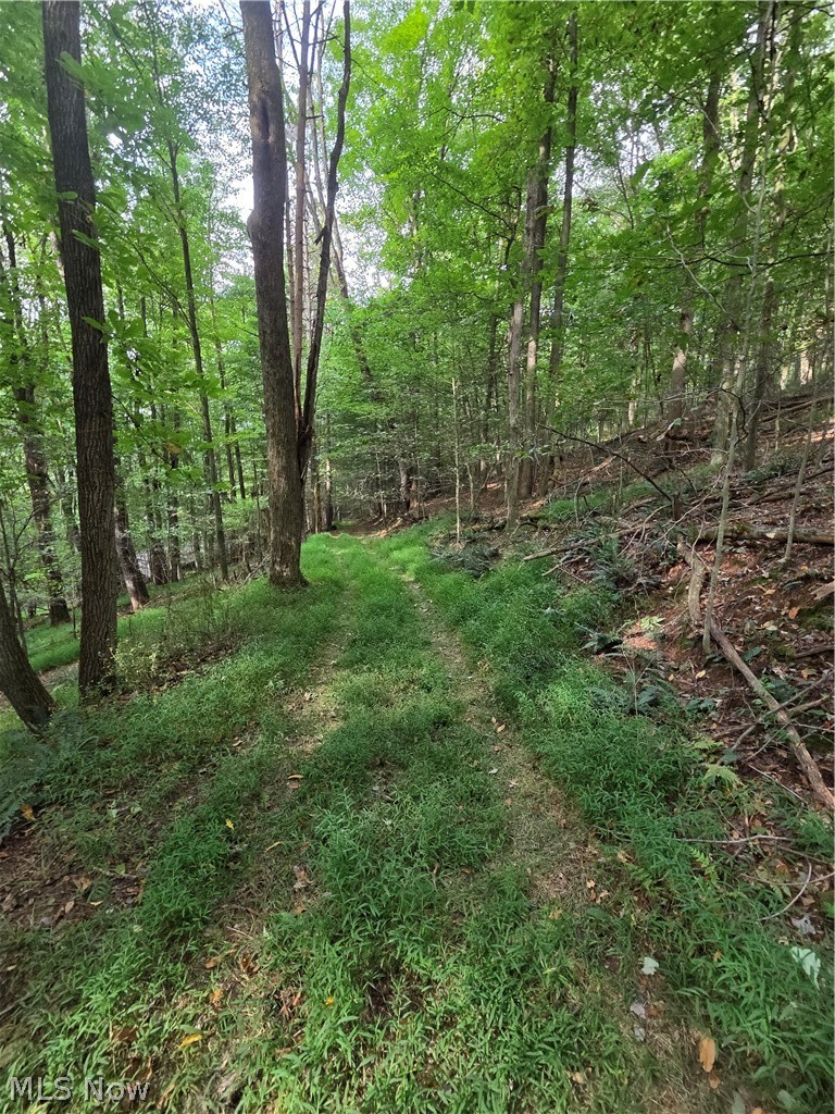 8097 Ore Hill Road SW Stone Creek OH 43840