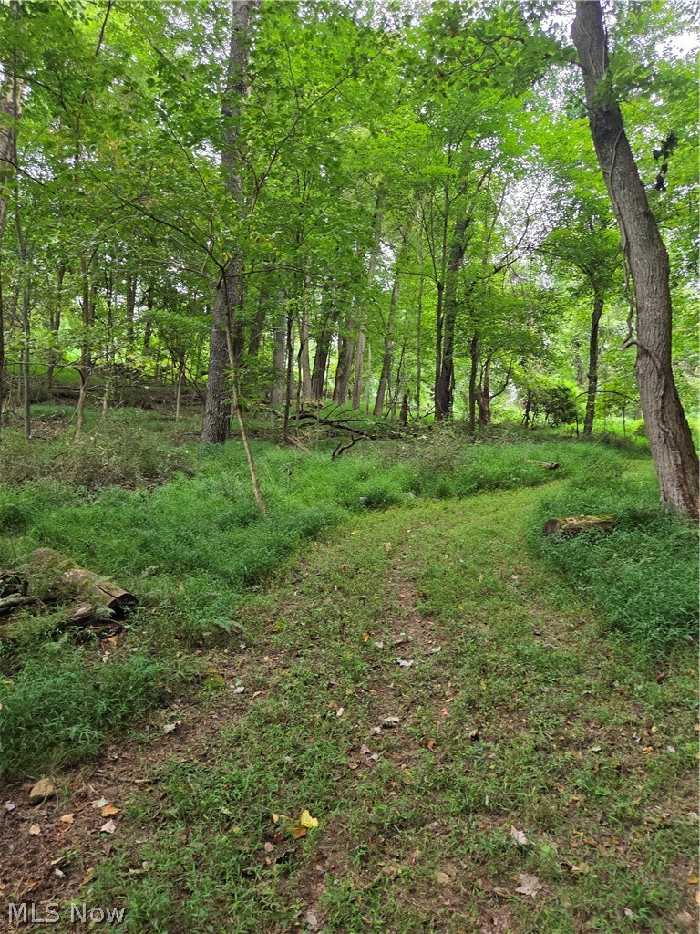 8097 Ore Hill Road SW Stone Creek OH 43840