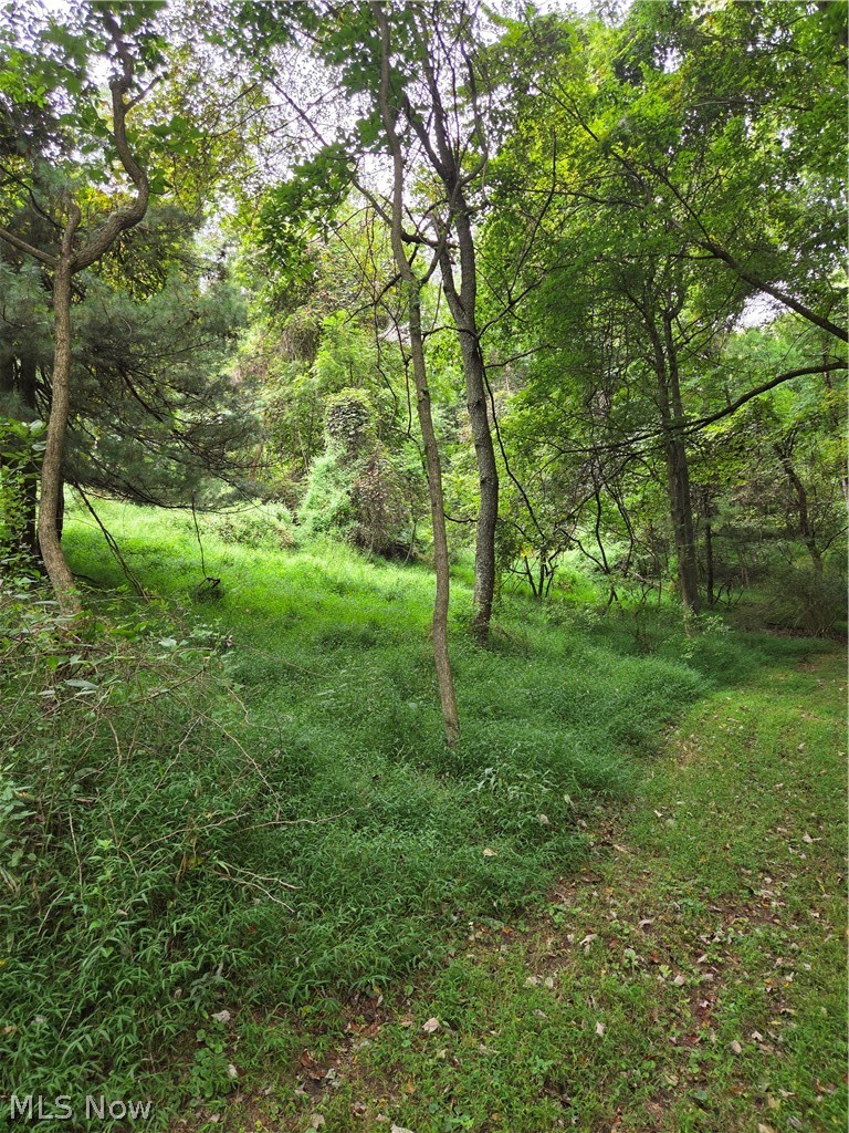 8097 Ore Hill Road SW Stone Creek OH 43840