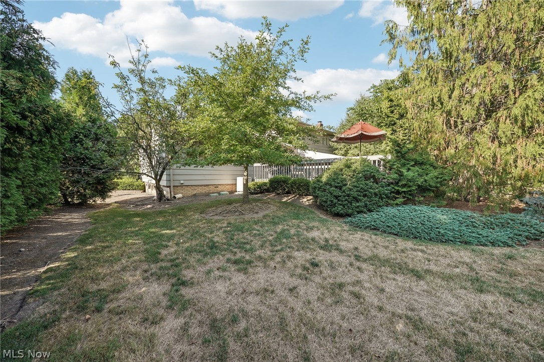 5362 Harleston Drive Lyndhurst OH 44124