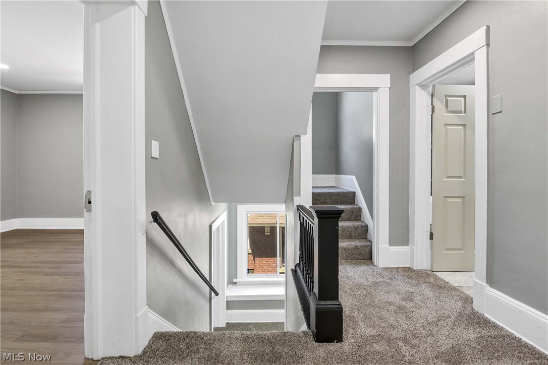 2231 Bellfield Avenue Cleveland Heights OH 44106