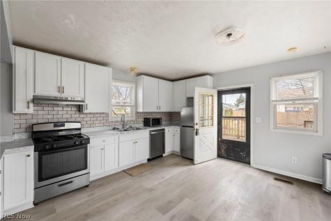 21 Urban Street Painesville OH 44077