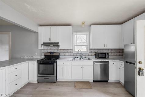 21 Urban Street Painesville OH 44077