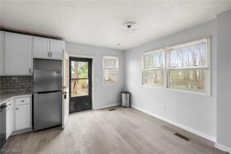 21 Urban Street Painesville OH 44077