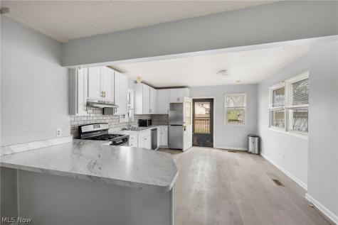 21 Urban Street Painesville OH 44077