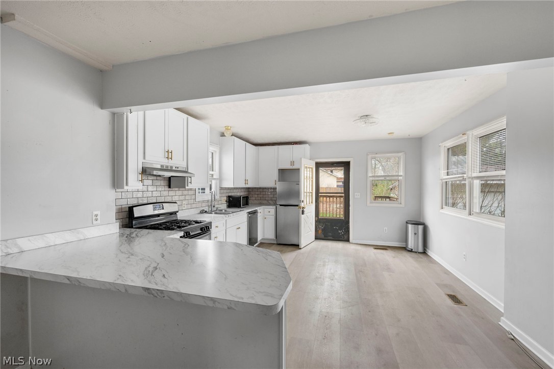 21 Urban Street Painesville OH 44077