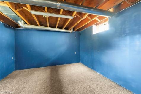 21 Urban Street Painesville OH 44077