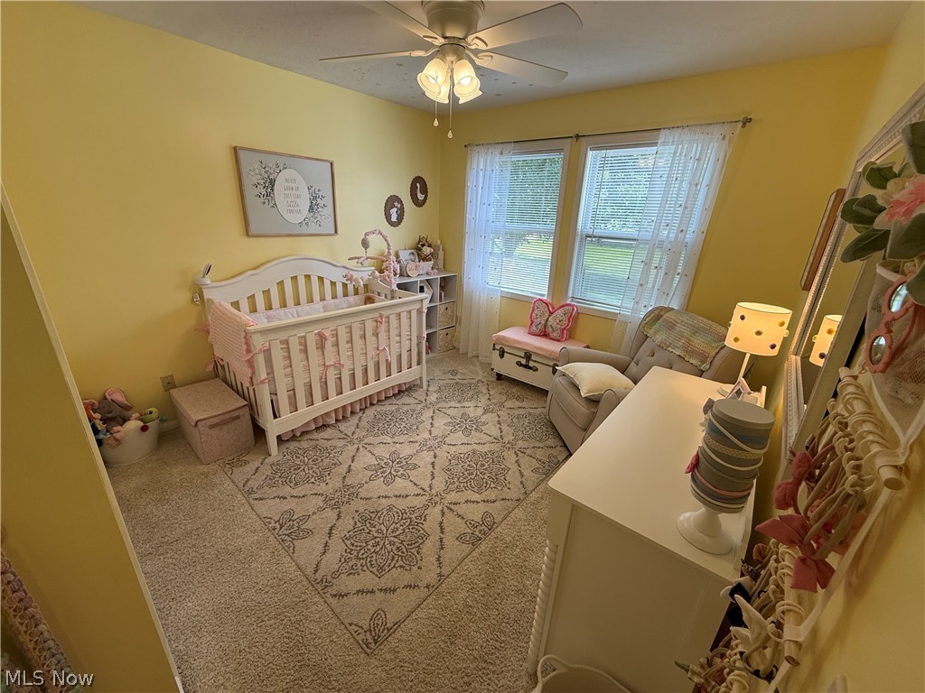 320 Kent Street Wellington OH 44090
