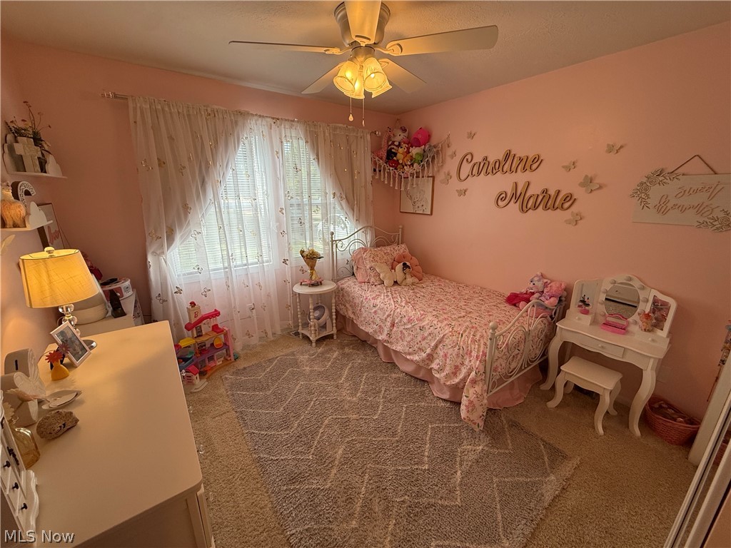 320 Kent Street Wellington OH 44090