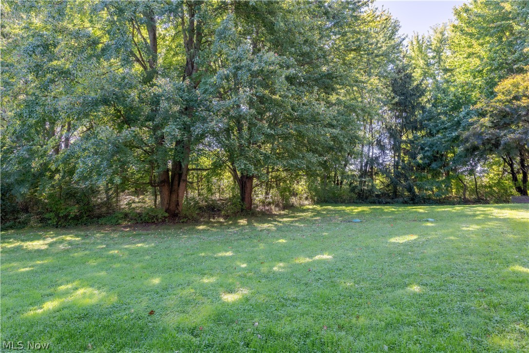 11590 Detwiler Columbiana OH 44408