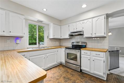 16980 S Meadows Circle Strongsville OH 44136