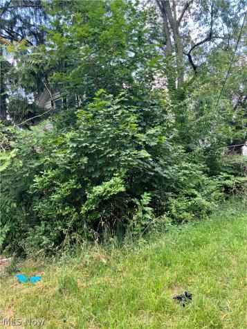 1398 E 91st Street Cleveland OH 44106