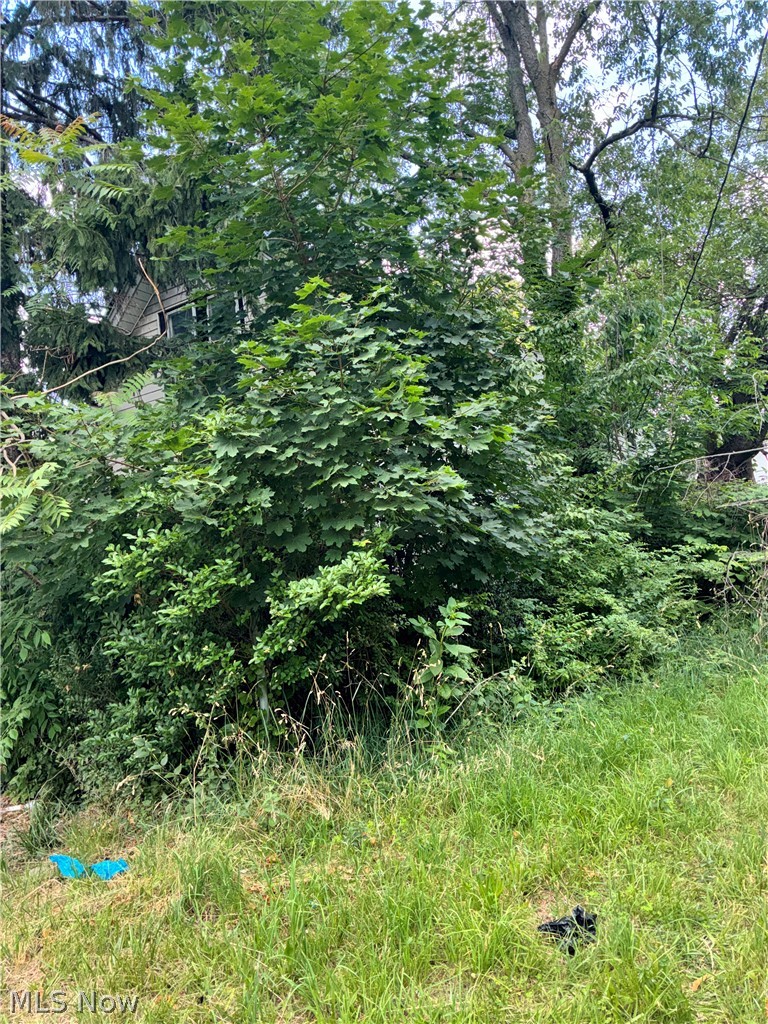 1398 E 91st Street Cleveland OH 44106