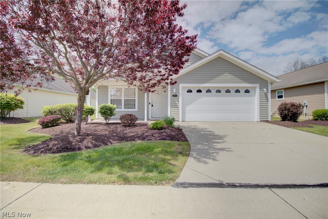 3900 Edinburgh Drive Medina OH 44256