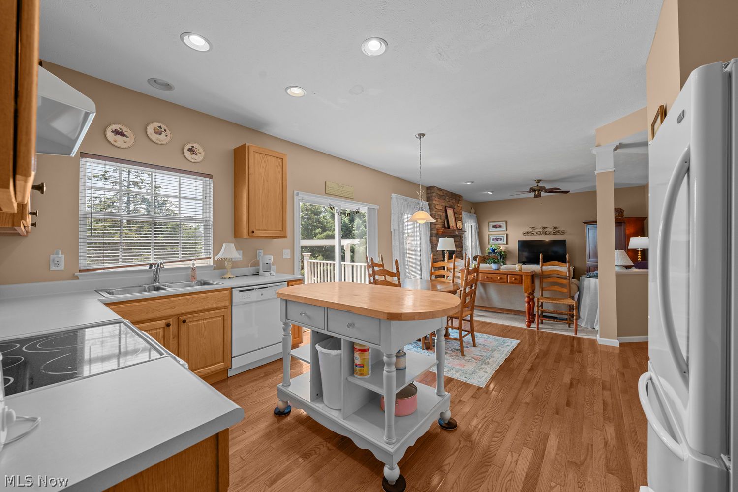 38650 Congressional Lane Willoughby OH 44094