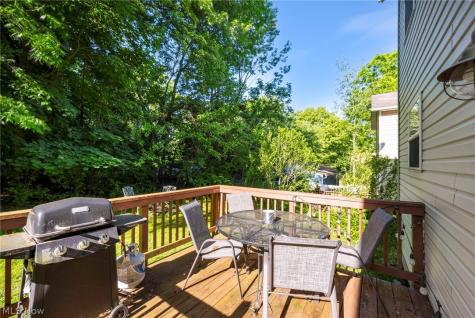 196 Olivet Avenue Akron OH 44319