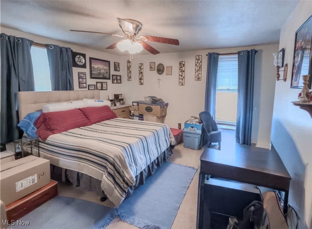 204 Tremble Avenue Campbell OH 44405