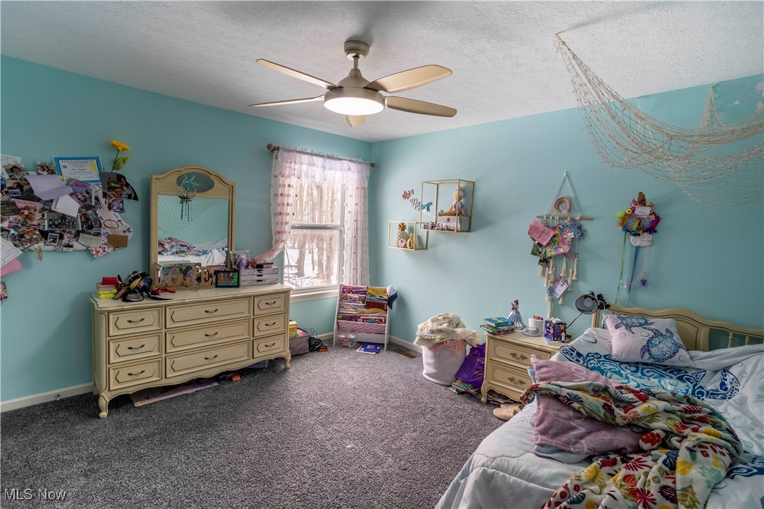 36345 Capri Lane North Ridgeville OH 44039