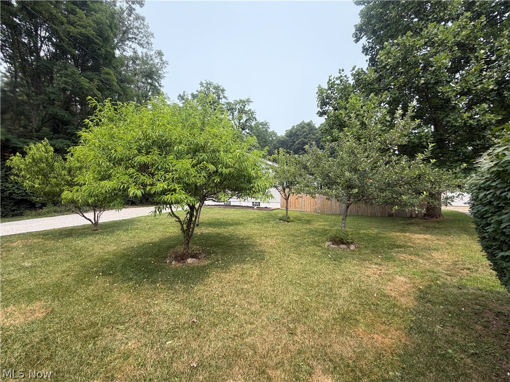 40 Tuckmere Drive Painesville OH 44077