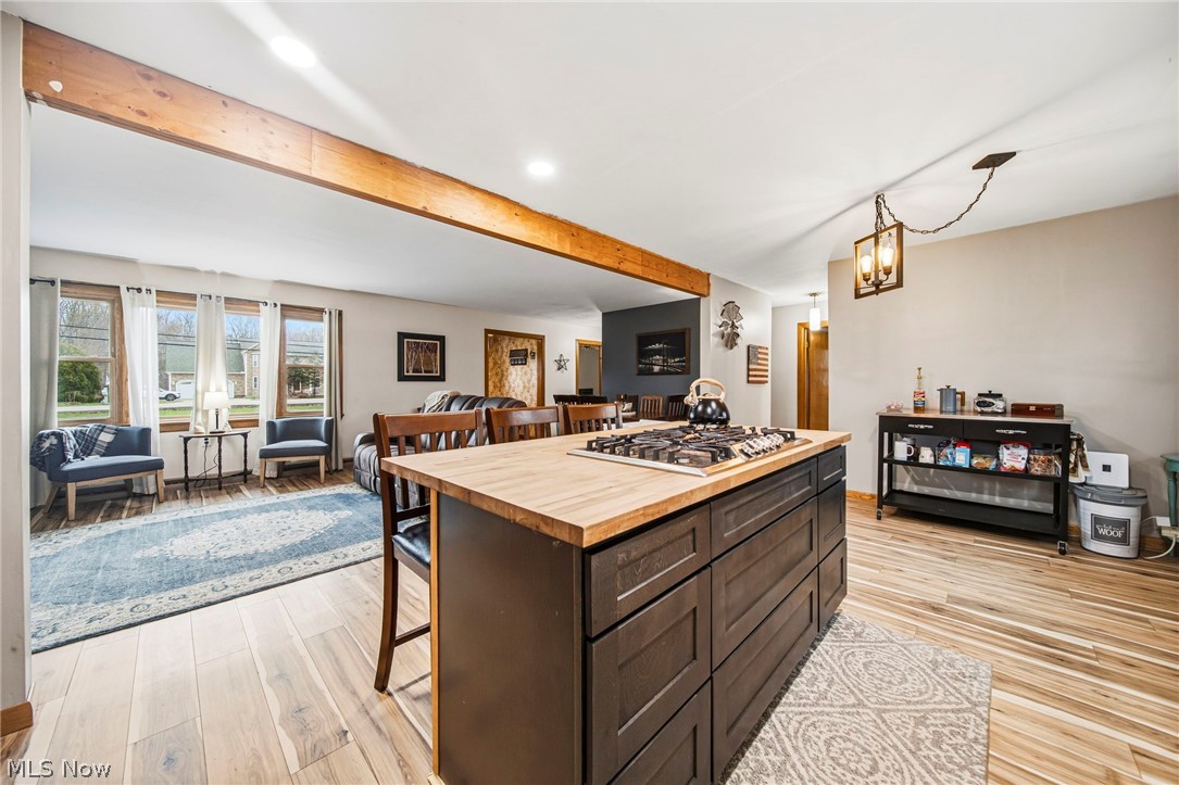 11914 Concord Hambden Road Painesville OH 44077