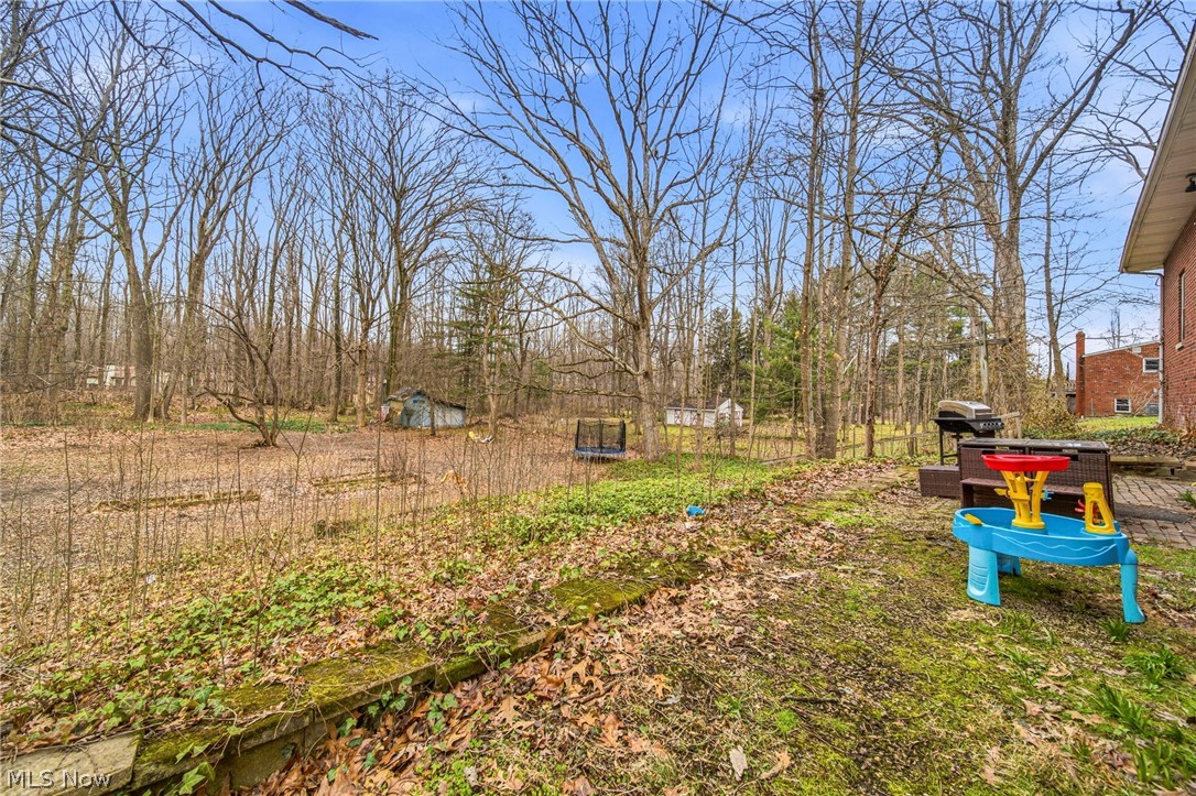 11914 Concord Hambden Road Painesville OH 44077