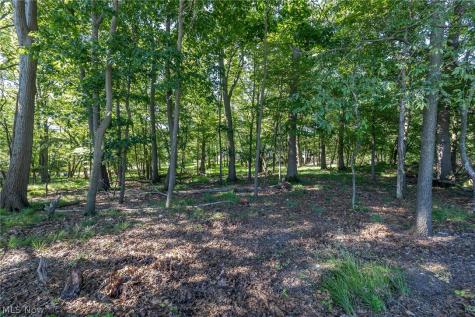 3299 Winthrop Drive Parma OH 44134