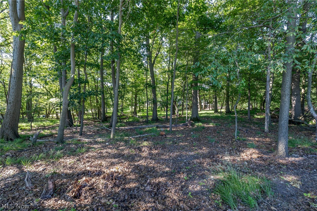 3299 Winthrop Drive Parma OH 44134