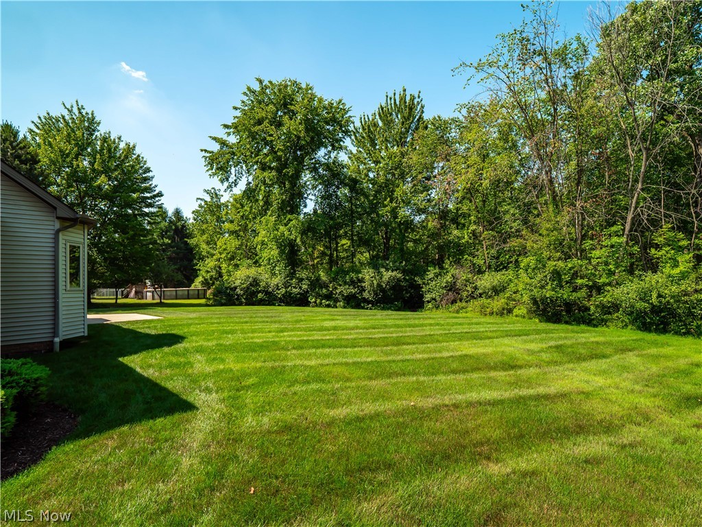 19452 Rye Gate Drive North Royalton OH 44133
