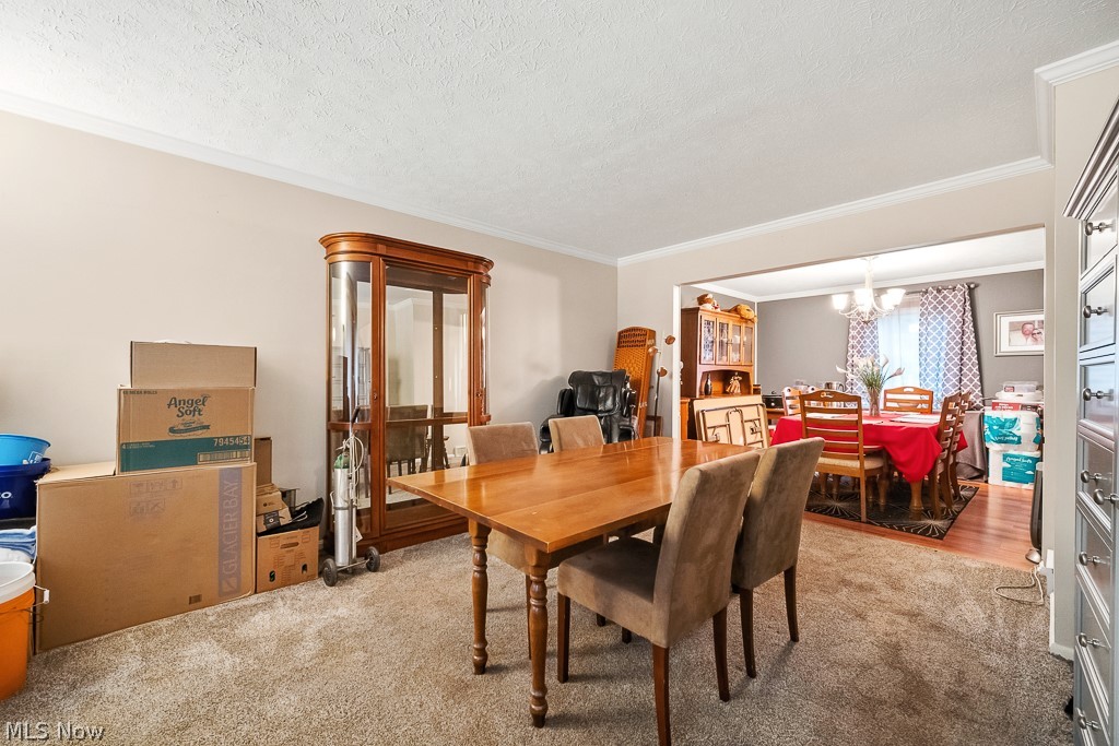 20710 Forestwood Drive Strongsville OH 44149