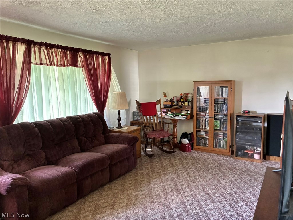 21 Sarah Boulevard Toronto OH 43964