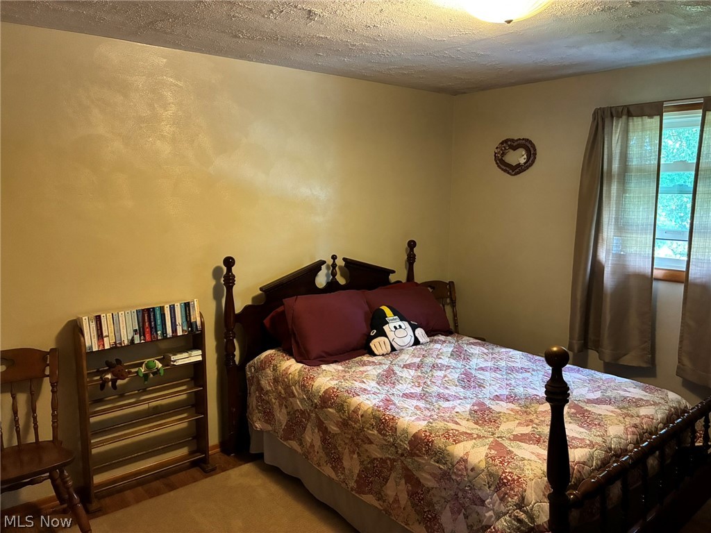 21 Sarah Boulevard Toronto OH 43964