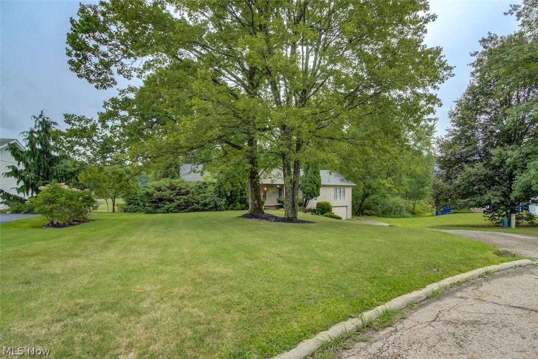 17444 Long Meadow Trail Chagrin Falls OH 44023